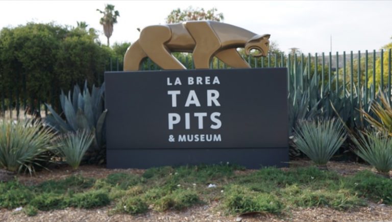 La Brea Tar Pits and Museum – Welcome To Los Angeles